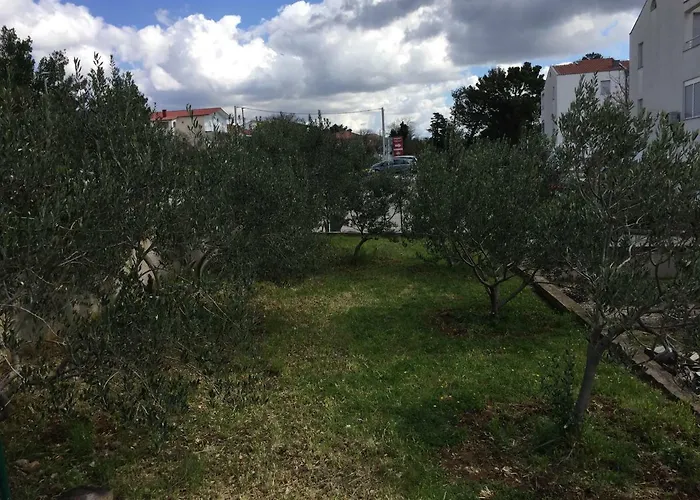 Сasa de vacaciones House